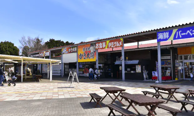 ドッグラン風景１