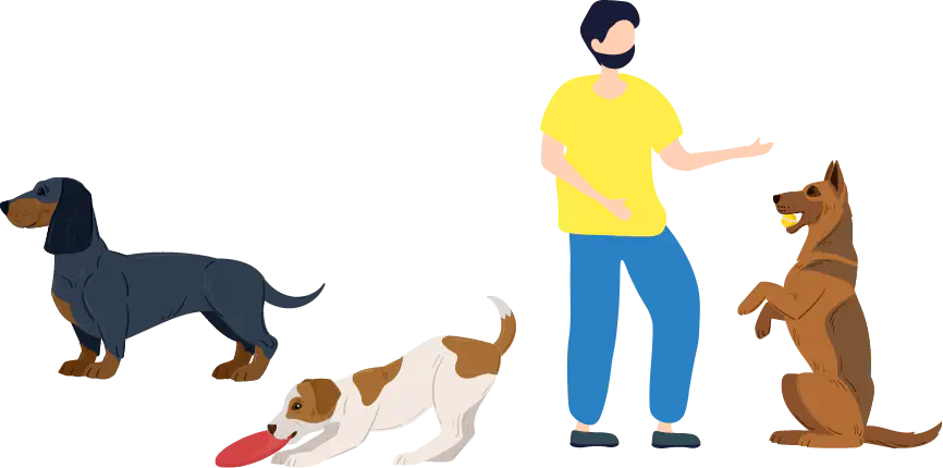 犬と遊ぶ